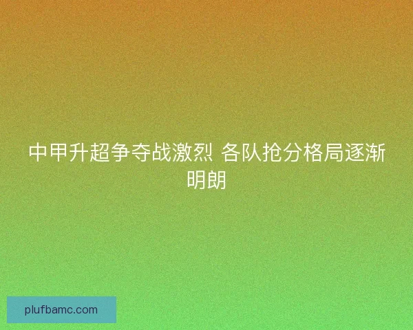 中甲升超争夺战激烈 各队抢分格局逐渐明朗