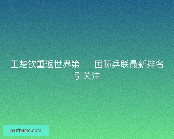 王楚钦重返世界第一  国际乒联最新排名引关注